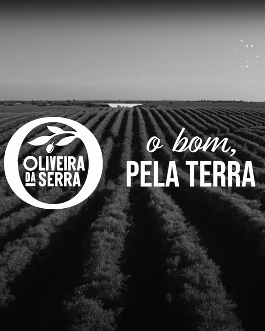 Oliveira da Serra