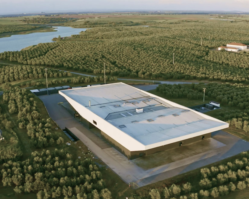 Oliveira da Serra manifesto